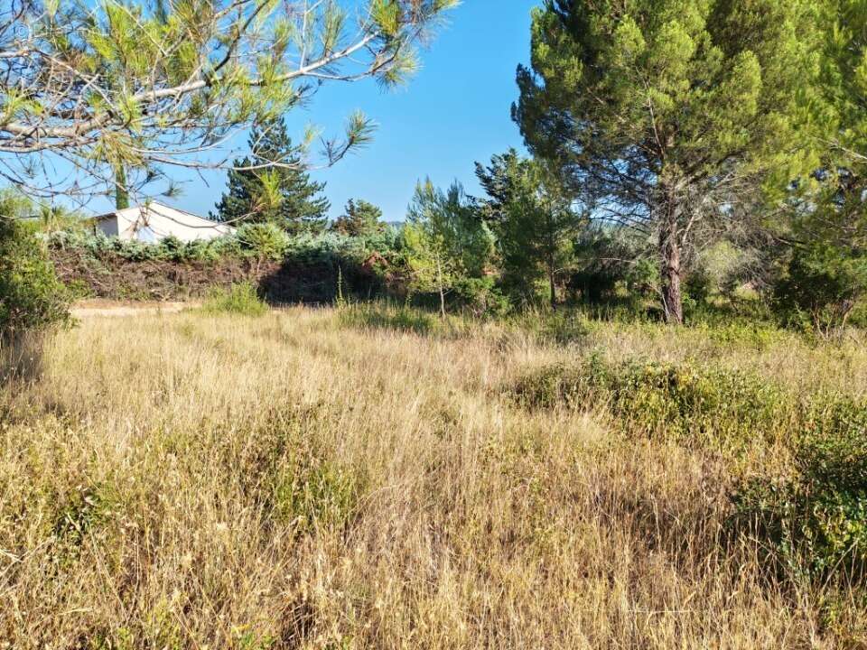 Terrain 900 m² à Camps-La-Source  - photo 9