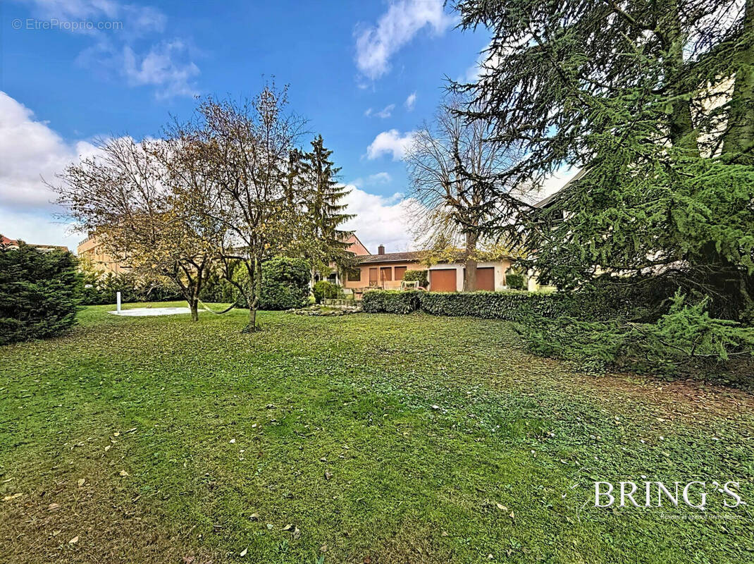 Terrain à HERRLISHEIM-PRES-COLMAR