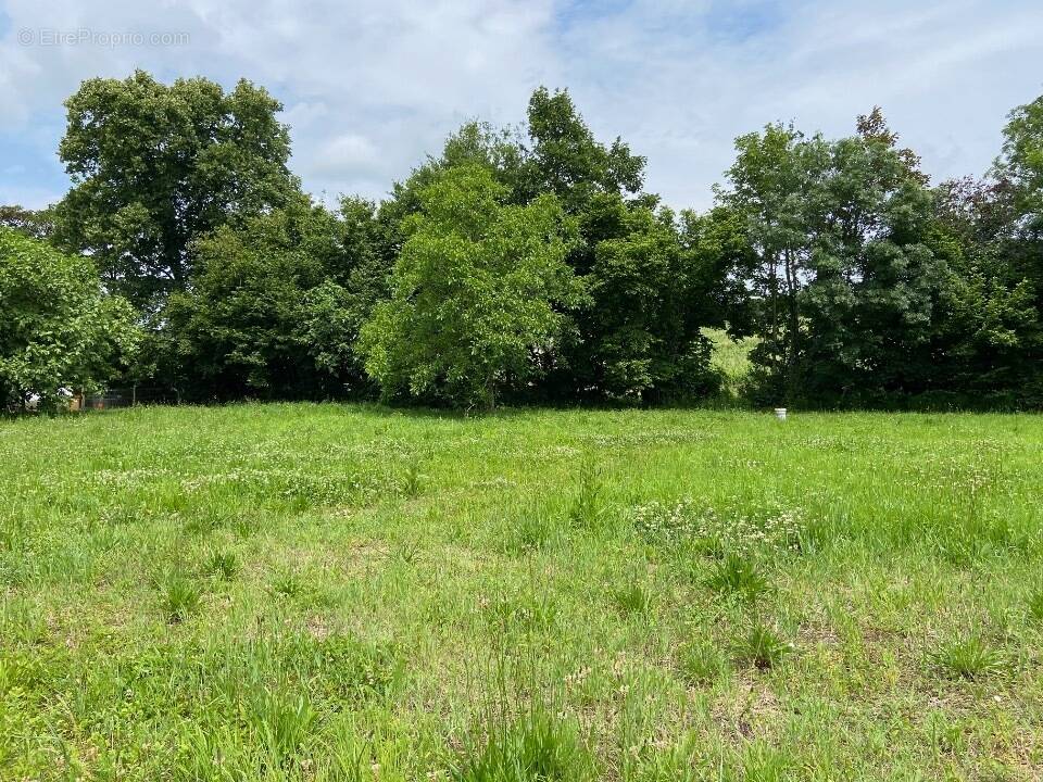 Terrain à SAINT-QUENTIN-DE-BARON