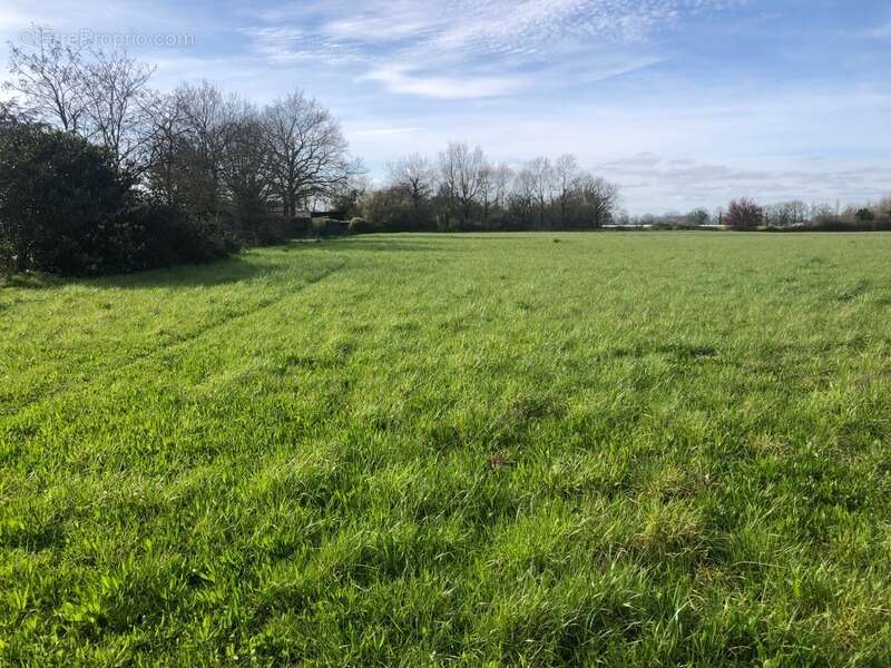 Terrain à SAINT-PHILBERT-DE-GRAND-LIEU