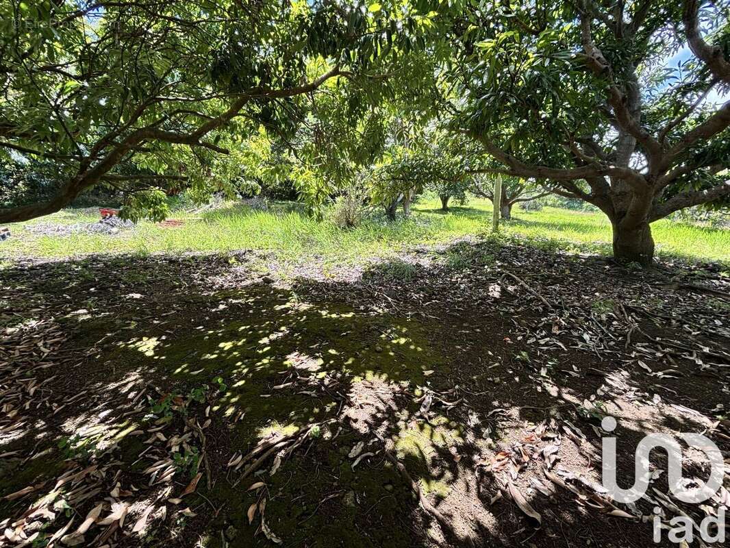 Photo 6 - Terrain à SAINT-PIERRE