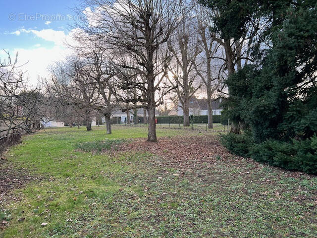 Terrain à CHECY