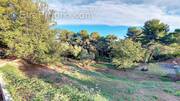 Terrain à MOUGINS