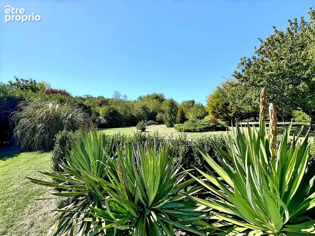 Propriété du 19e - deux logements indépendants - piscine et terrain de 1,1 ha – estuaire de la gironde. - photo 27