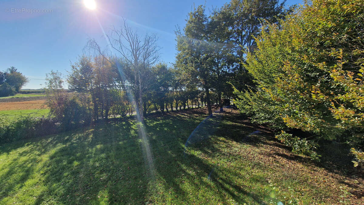 Maison à CELLE-LEVESCAULT