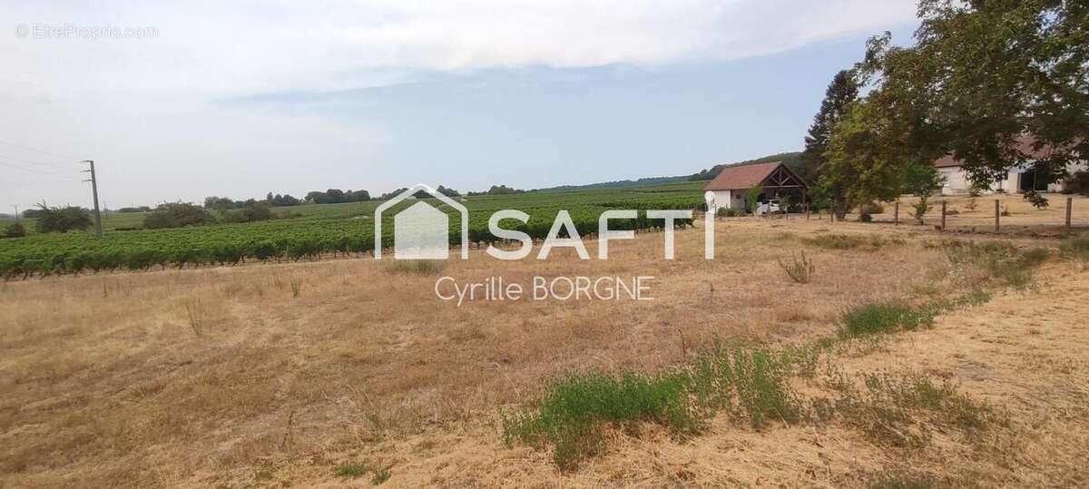 Terrain 1218 m² à Saint-Michel-Sur-Loire  - photo 4