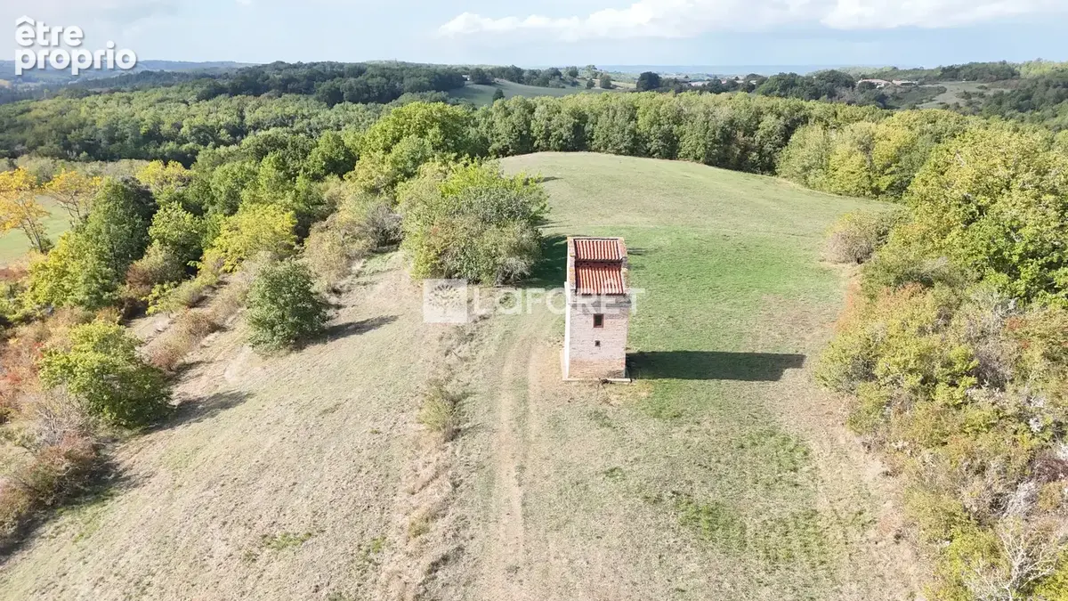 Propriété de 116 hectares !!! Monclar-de-Quercy - photo 4