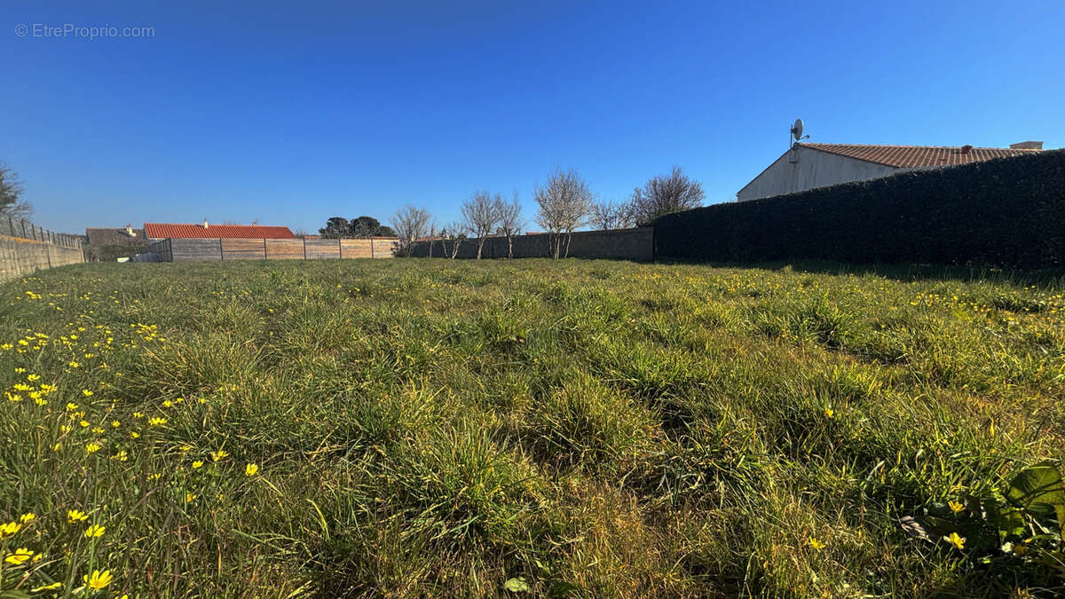 Terrain à TALMONT-SAINT-HILAIRE