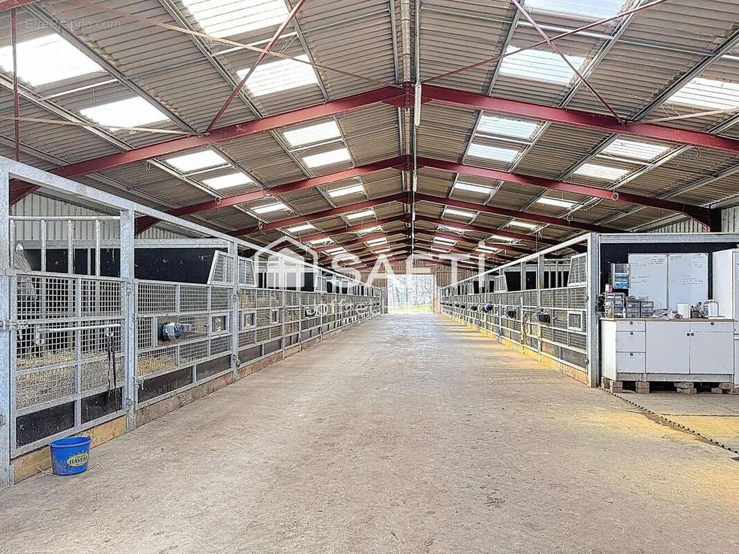 Photo 6 - Maison à LA FERTE-MACE