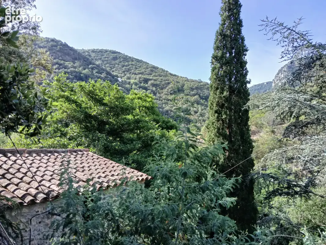 Mas en pierre à Reynes - photo 16