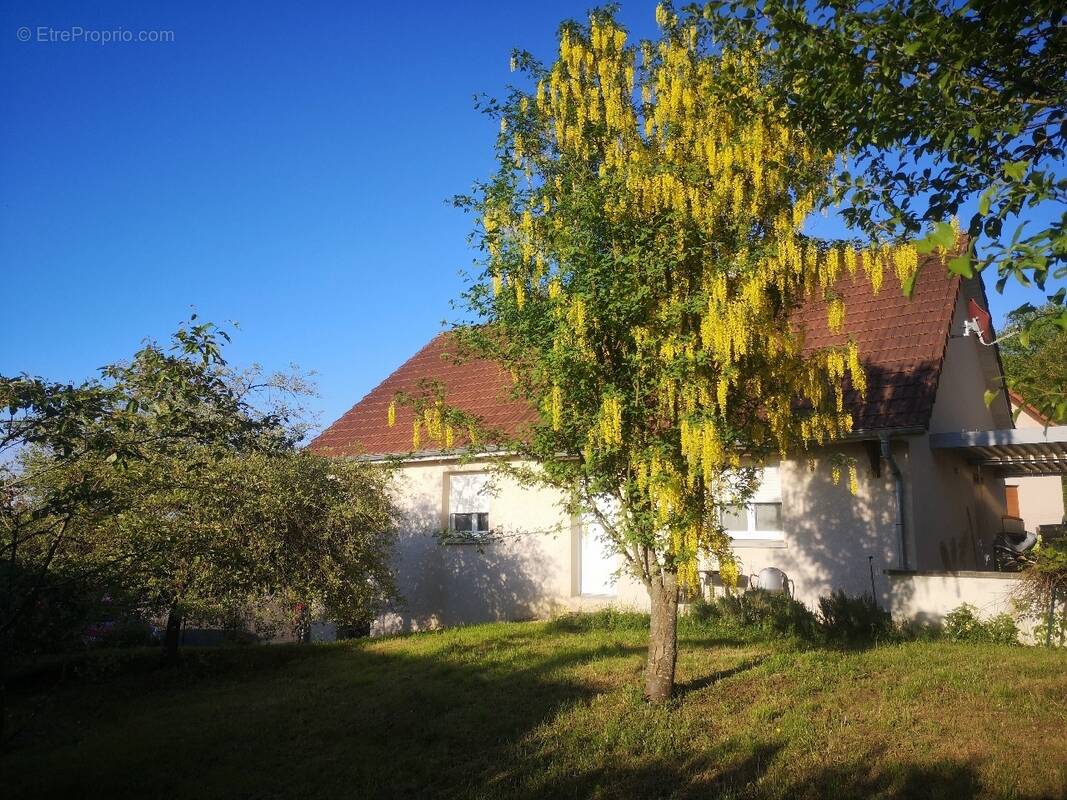 Maison à COURTELEVANT