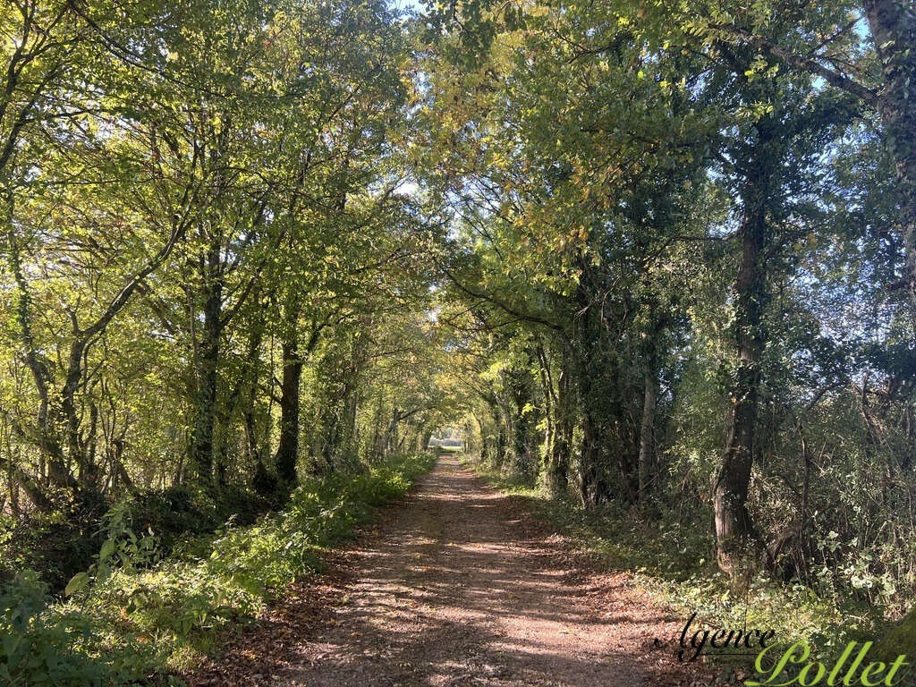 Maison à IVOY-LE-PRE