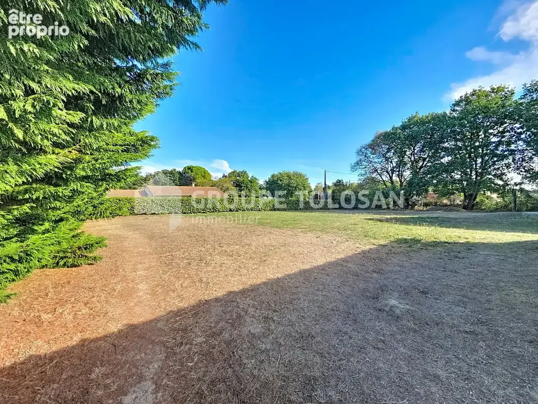 Maison 6 pièces 128 m² à vendre à Rieumes (31370) - photo 7