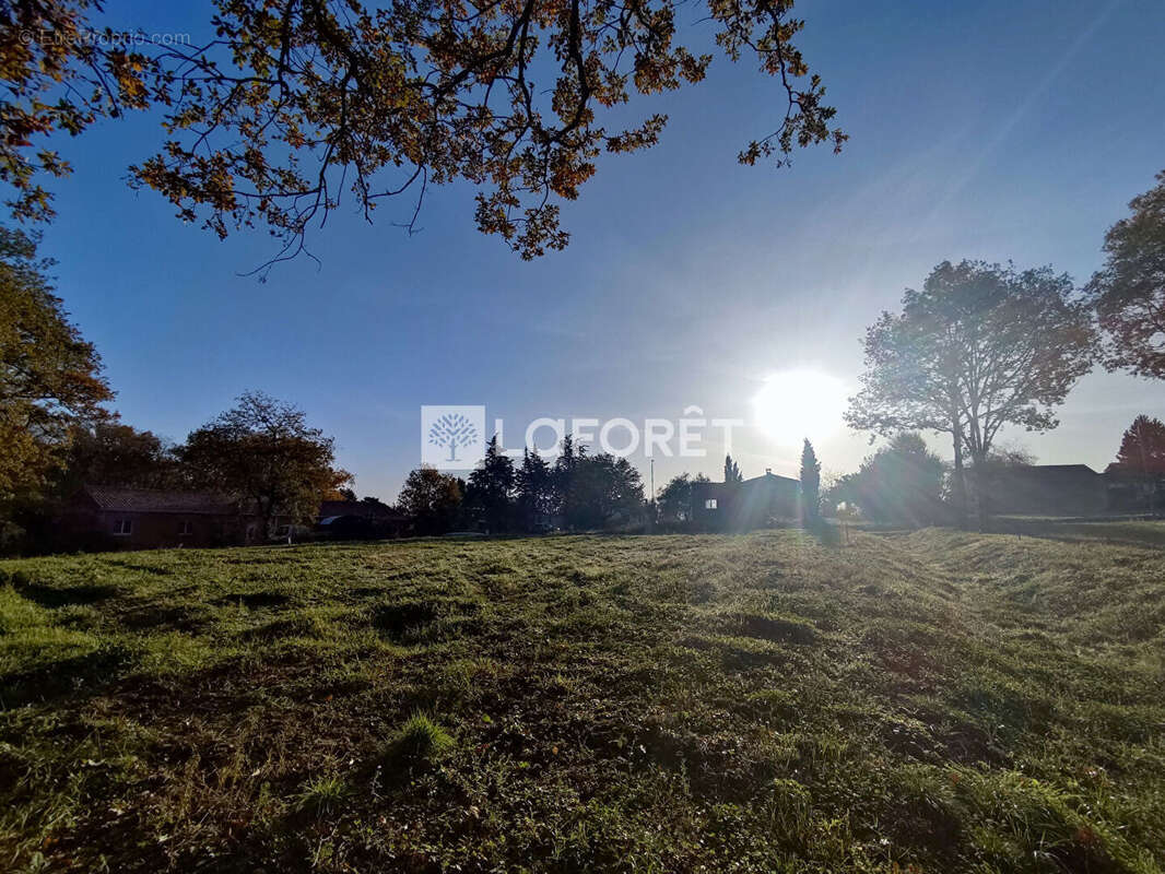 Terrain à PUYDANIEL