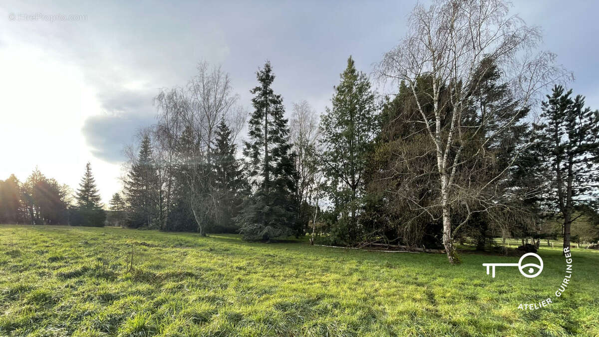 Terrain à MONTRIEUX-EN-SOLOGNE