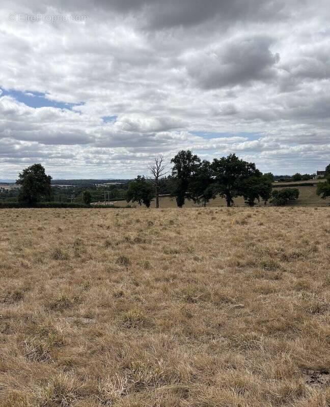 Terrain à SAINT-VINCENT-BRAGNY