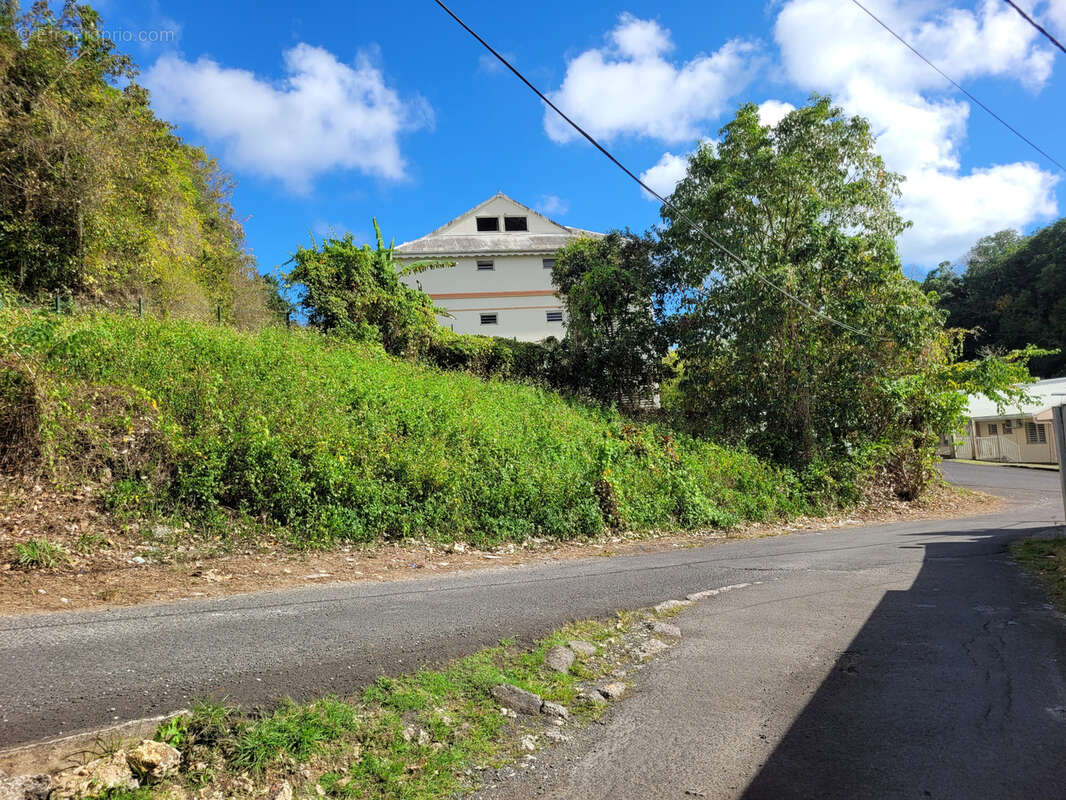 Terrain à LES ABYMES