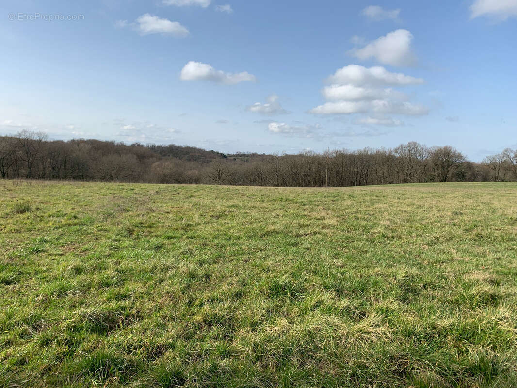 Terrain à BEAUMONT-DE-LOMAGNE