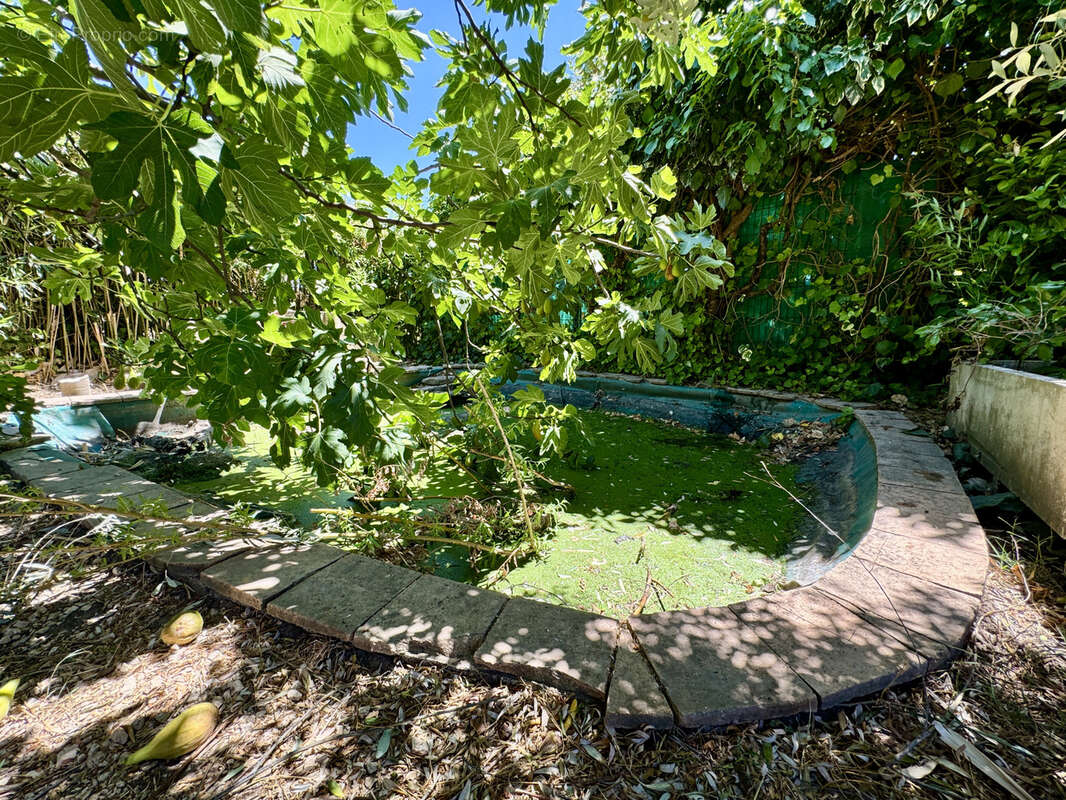 Maison de 110 m2 avec piscine, atelier 50m2, carport 20 m2 et terrain de 1 150 m2 - photo 5
