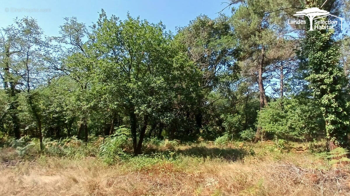 Terrain à GARROSSE