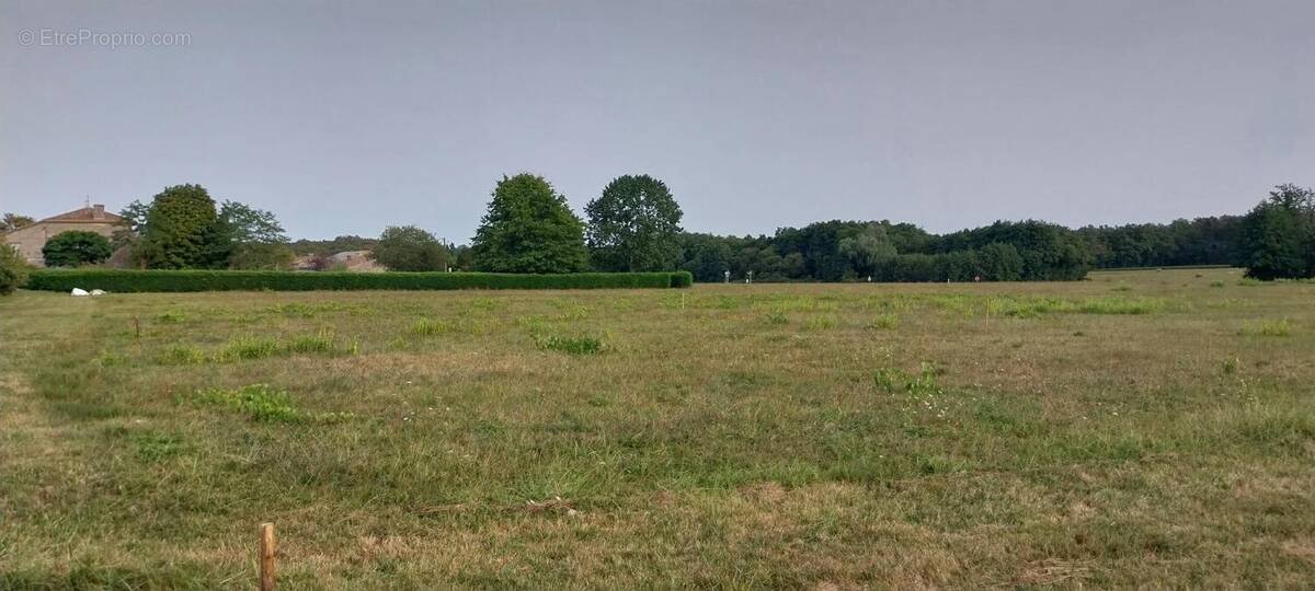 Terrain à SAINT-GERMAIN-D'ESTEUIL