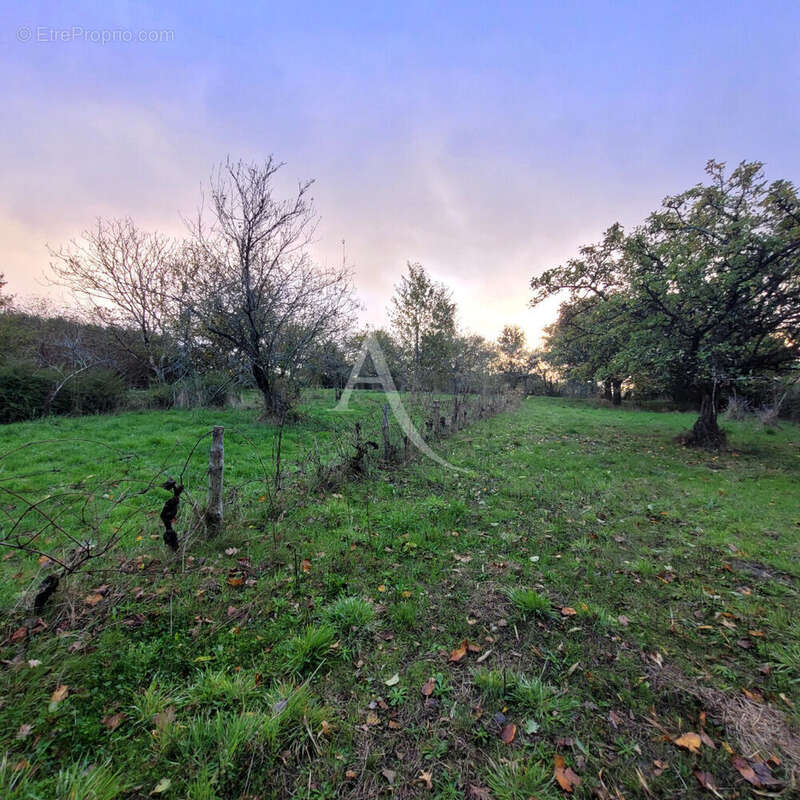 Terrain à NIEUL-LE-DOLENT