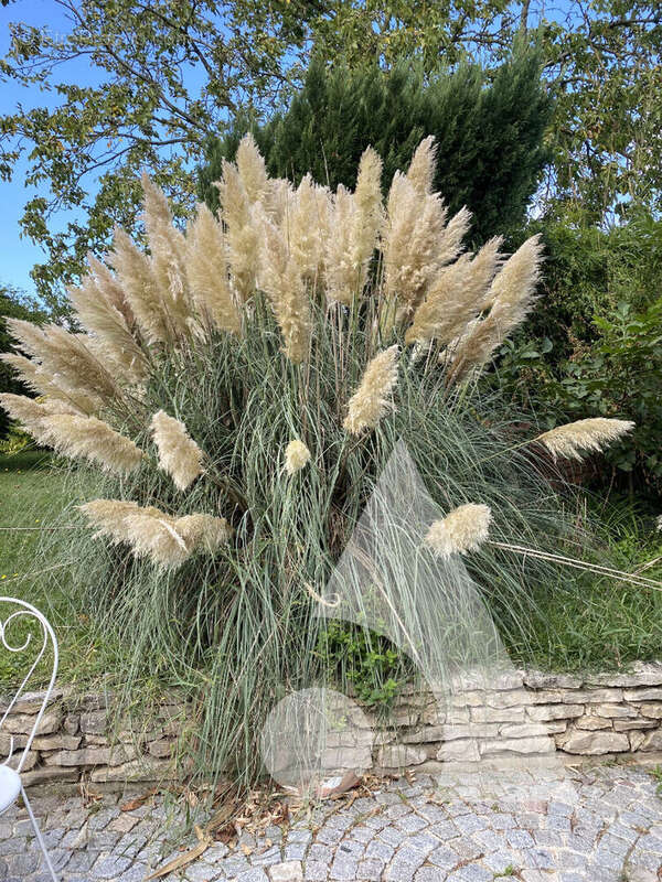 Maison à NANTEUIL-LE-HAUDOUIN