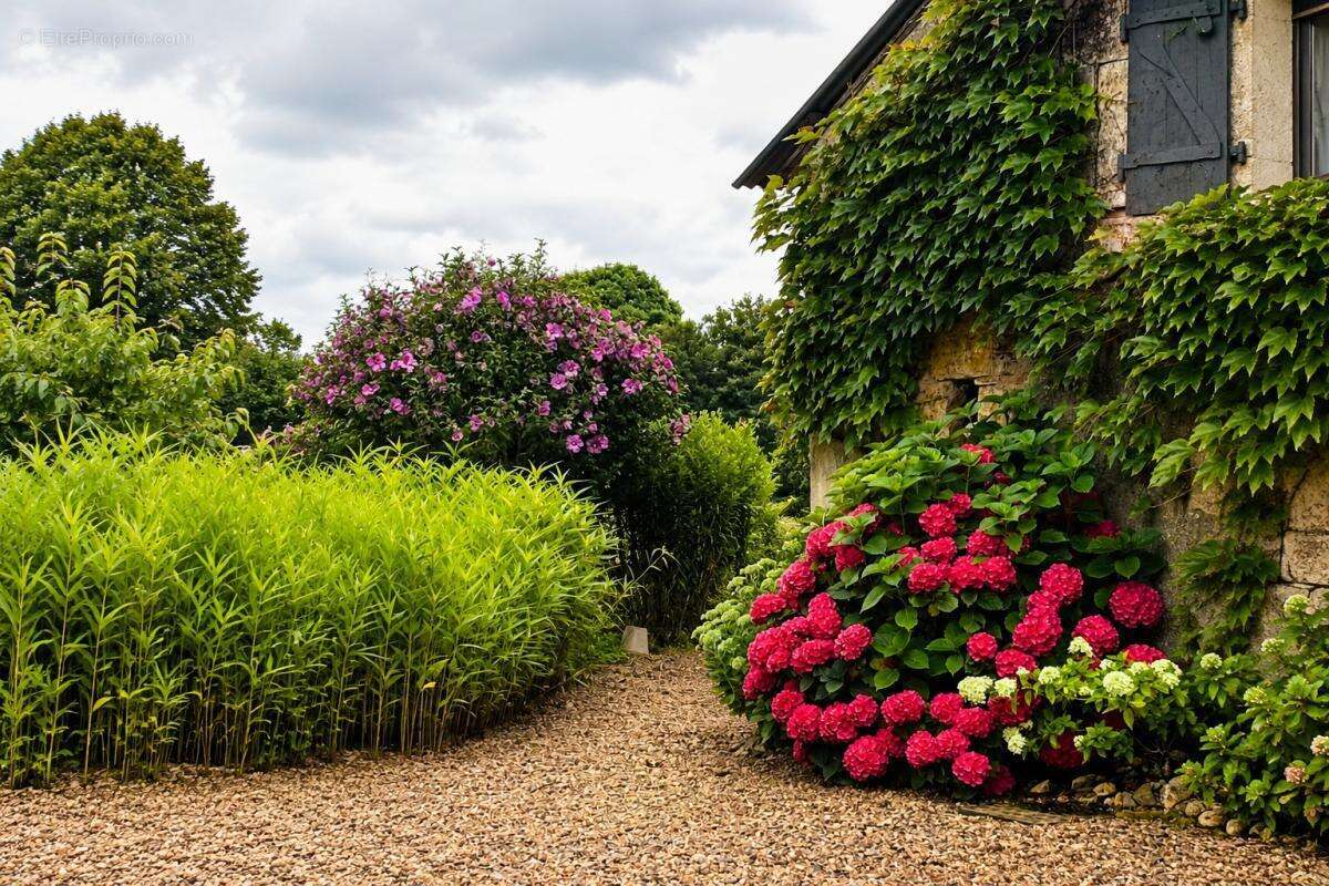 Propriété de rêve - photo 8