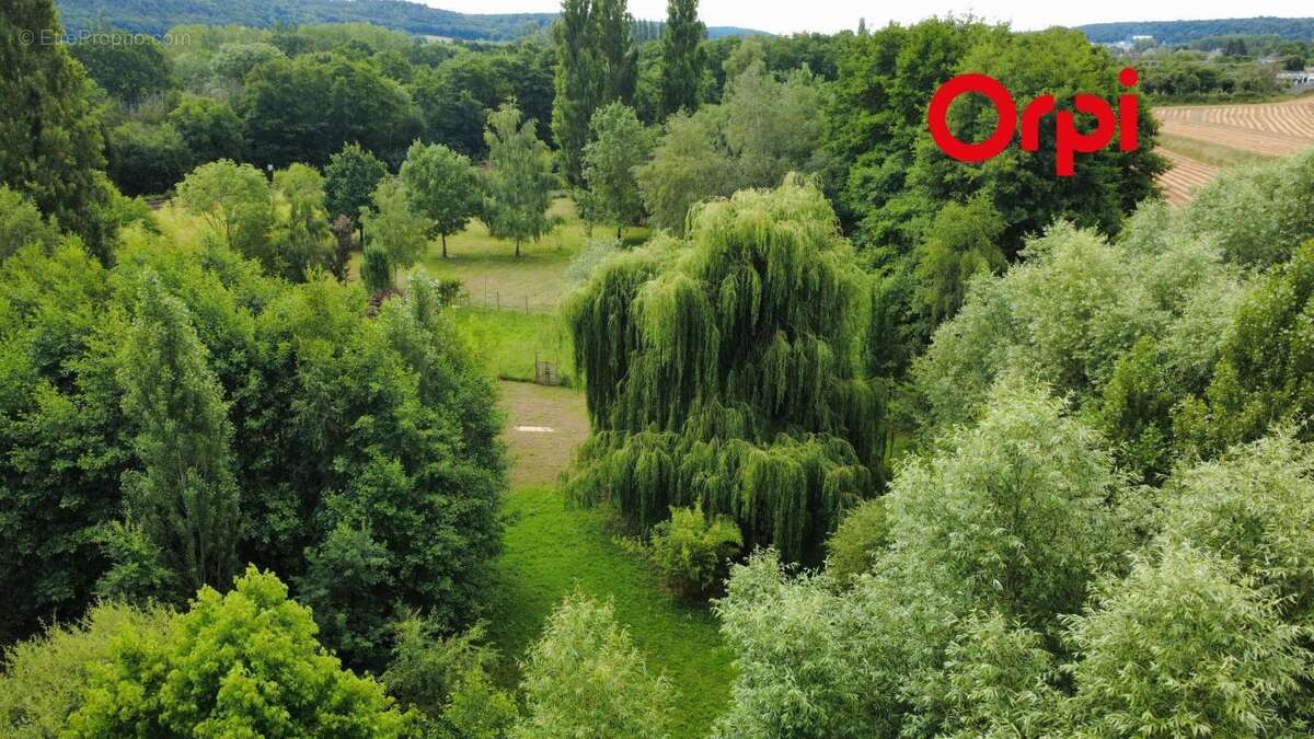 Propriété avec plan d'eau - photo 3