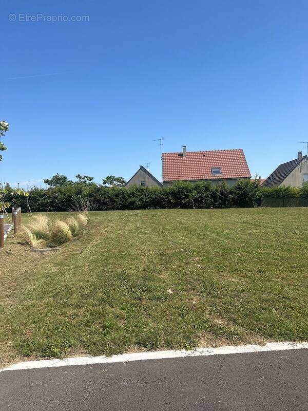 Terrain à MAILLY-LE-CAMP