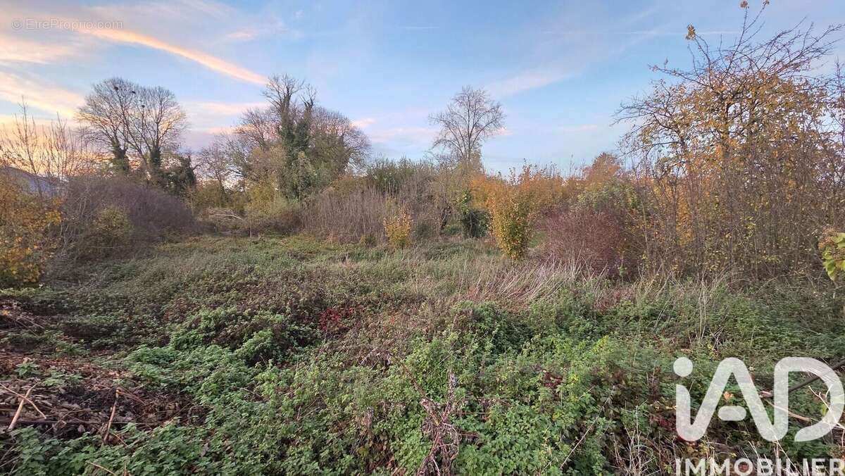 Photo 4 - Terrain à SOMME-SUIPPE