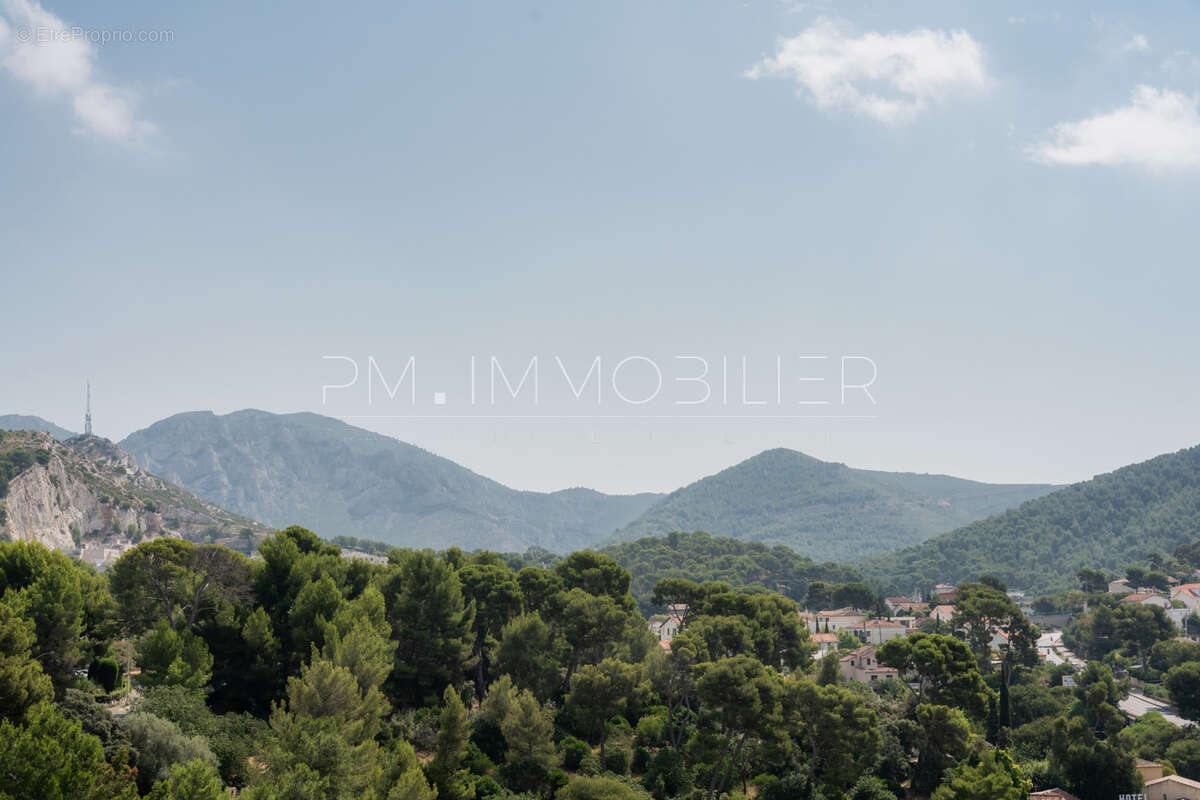Panorama valmante - photo 6