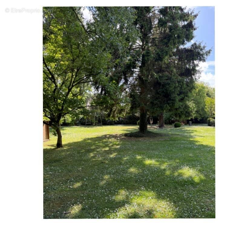 Terrain à MAROLLES-EN-HUREPOIX