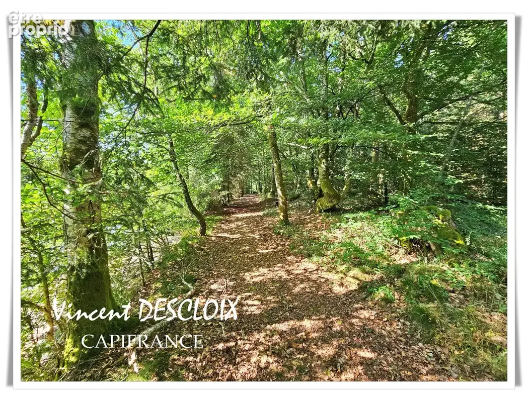 Terrain 19 965m² avec étang à vendre  GIEN SUR CURE (58230) - photo 5