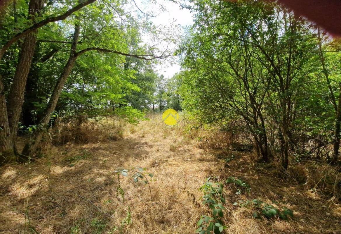 Terrain à LA GUERCHE-SUR-L'AUBOIS