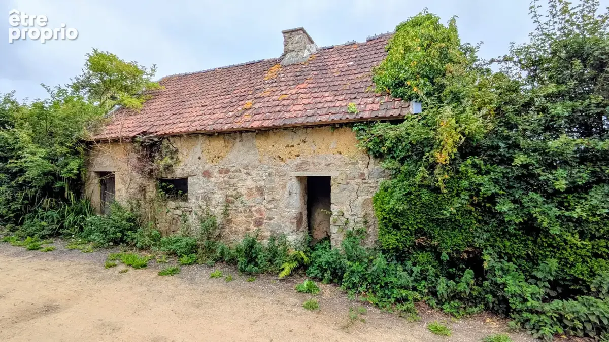 Maison - gites - installations equestres - photo 17