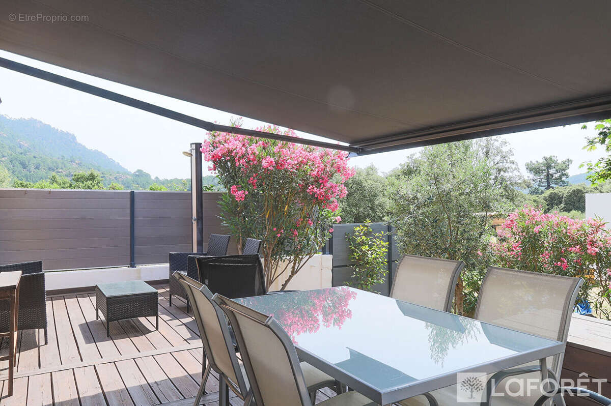 bel appartement T3 avec jardin privatif  à  Tagliu Rossu - photo 2