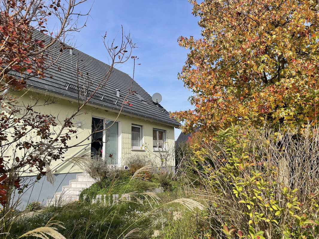 Maison à NIEDERLAUTERBACH