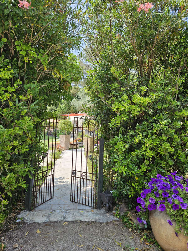 Maison à ROQUEFORT-LES-PINS