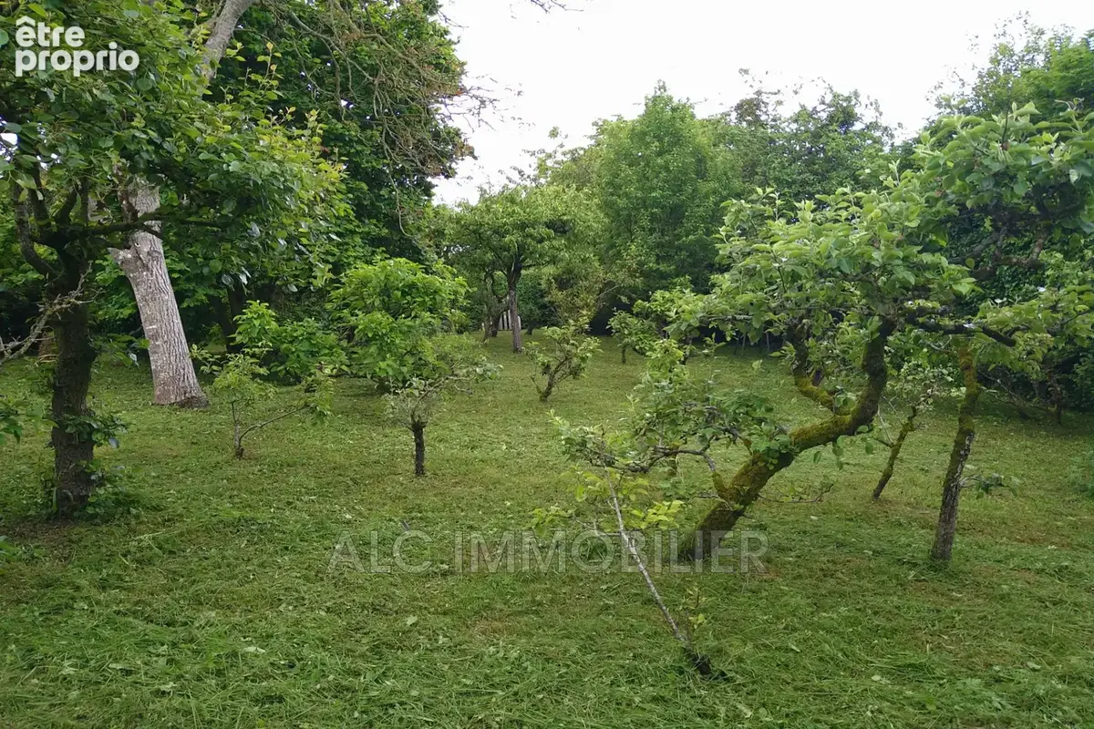 Terrain 755 m² à vendre à Souge-Le-Ganelon (72130) - photo 4