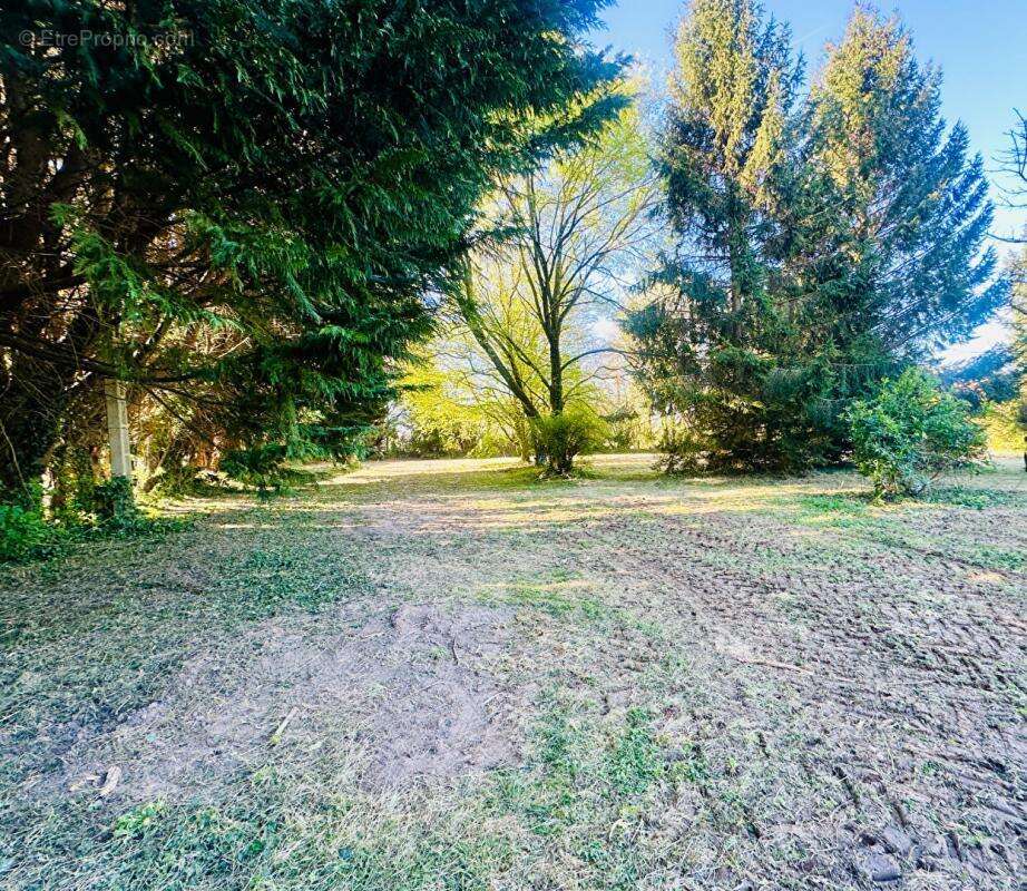 Maison à PONT-L&#039;EVEQUE