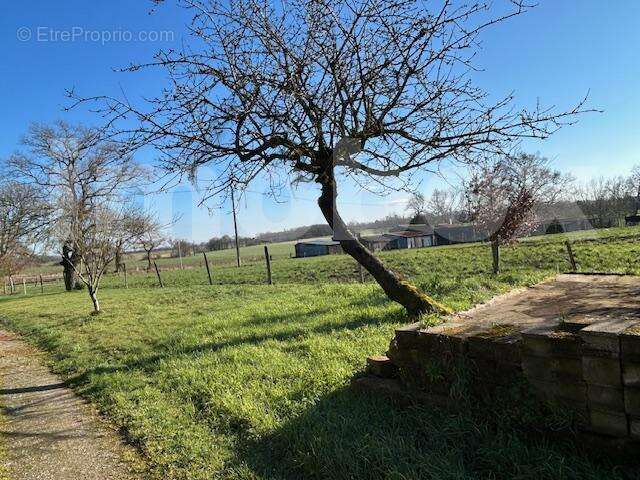 IMG_7892 (002) - Maison à LANDEMONT