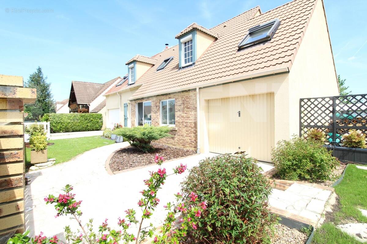 IMG_7652 - Maison à SERRIS