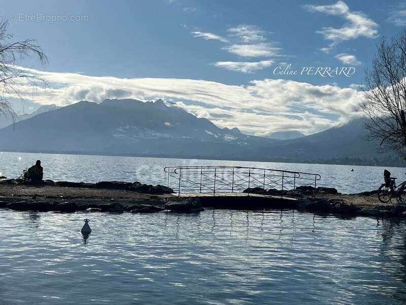 Dpt Haute Savoie (74), à vendre ANNECY centre, appartement T3 traversant de 86 m² - photo 5