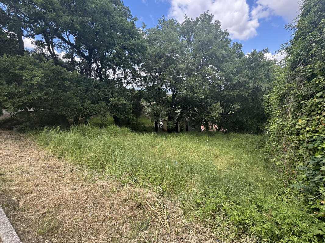 Terrain à LES MAYONS