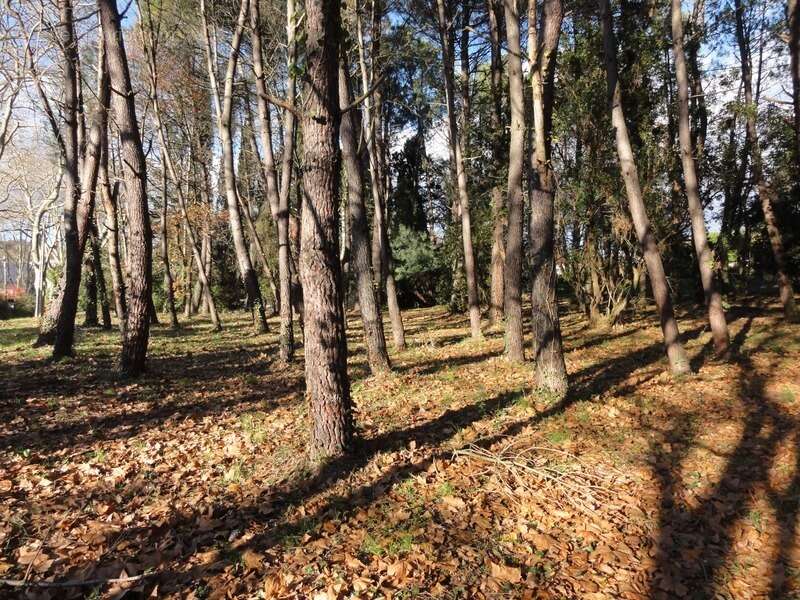 Terrain à VILLEPINTE