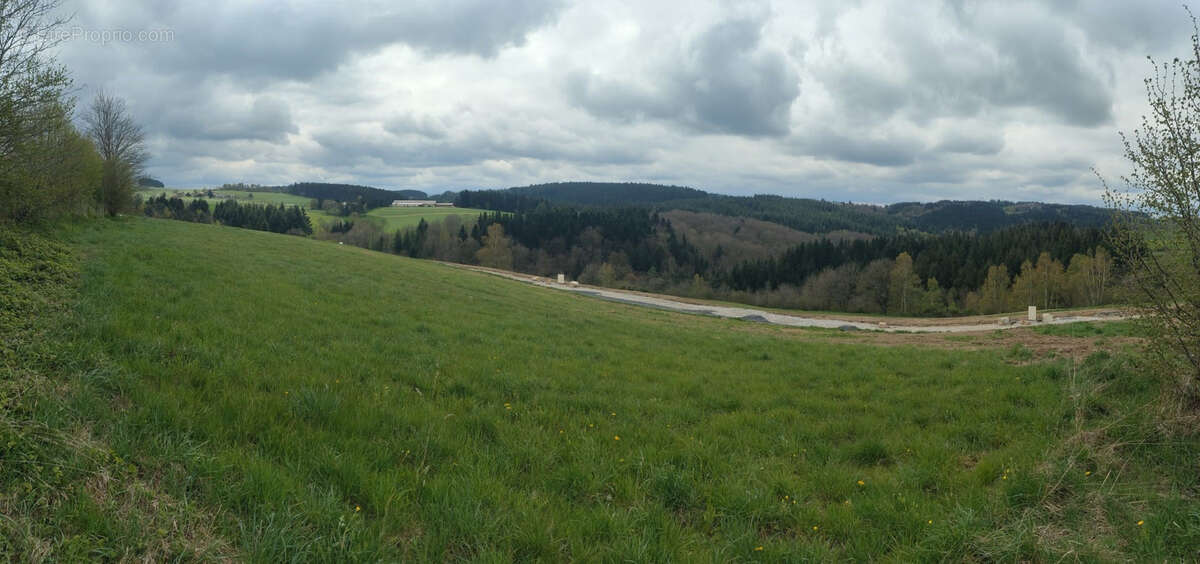 Terrain à SAINT-ROMAIN-LES-ATHEUX