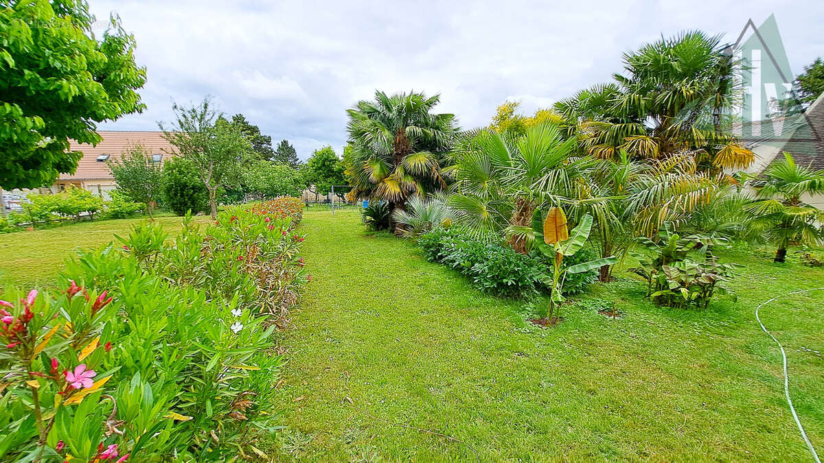 Exclusivité - Villeneuve la Guyard - Viager occupé - Maison de 146 m2 avec 3 chambres et beau jardin. - photo 3