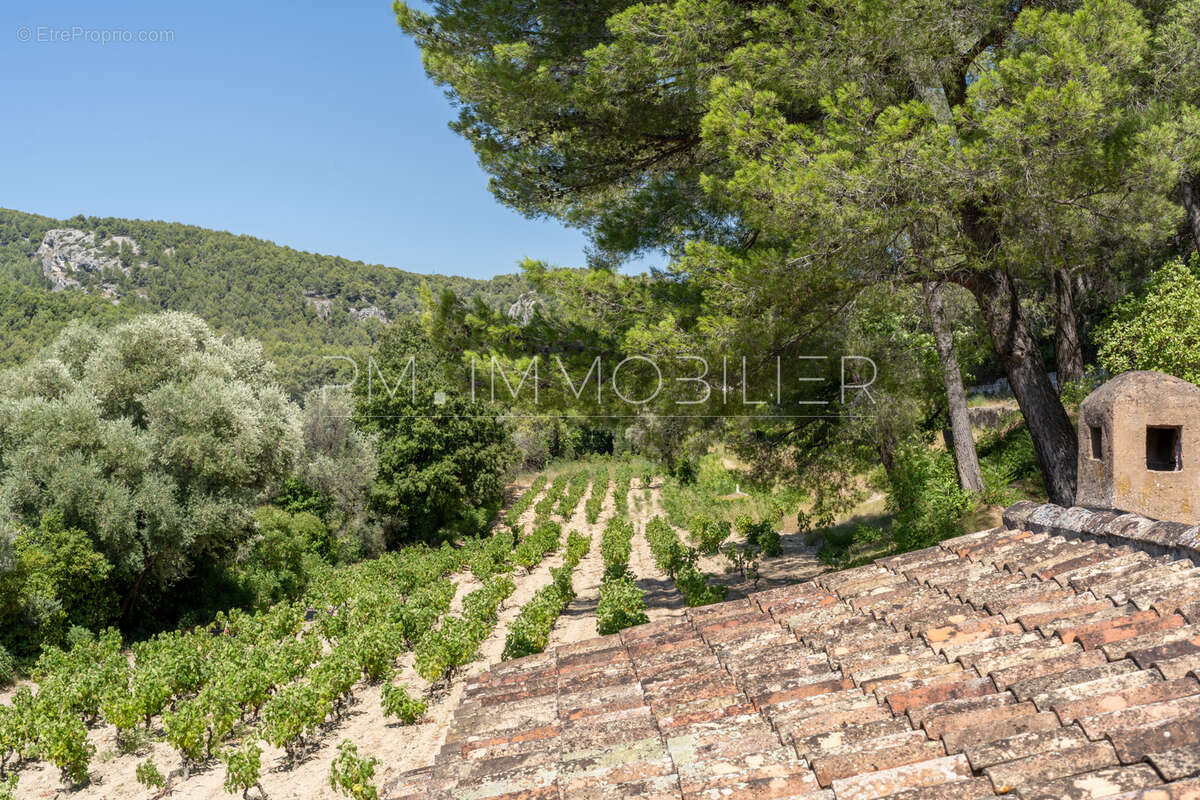 Maison à CASSIS