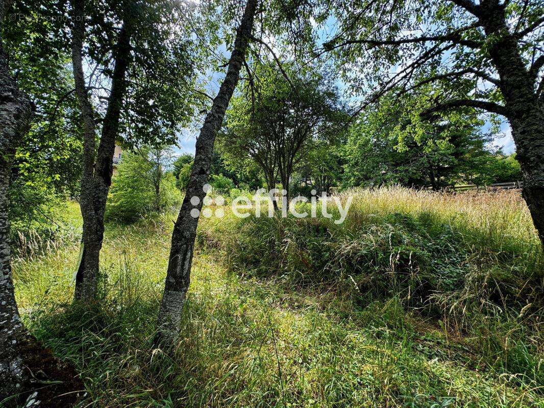 Terrain 572 m² à Laye  - photo 2